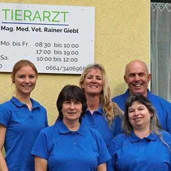 Tierarzt anrufen